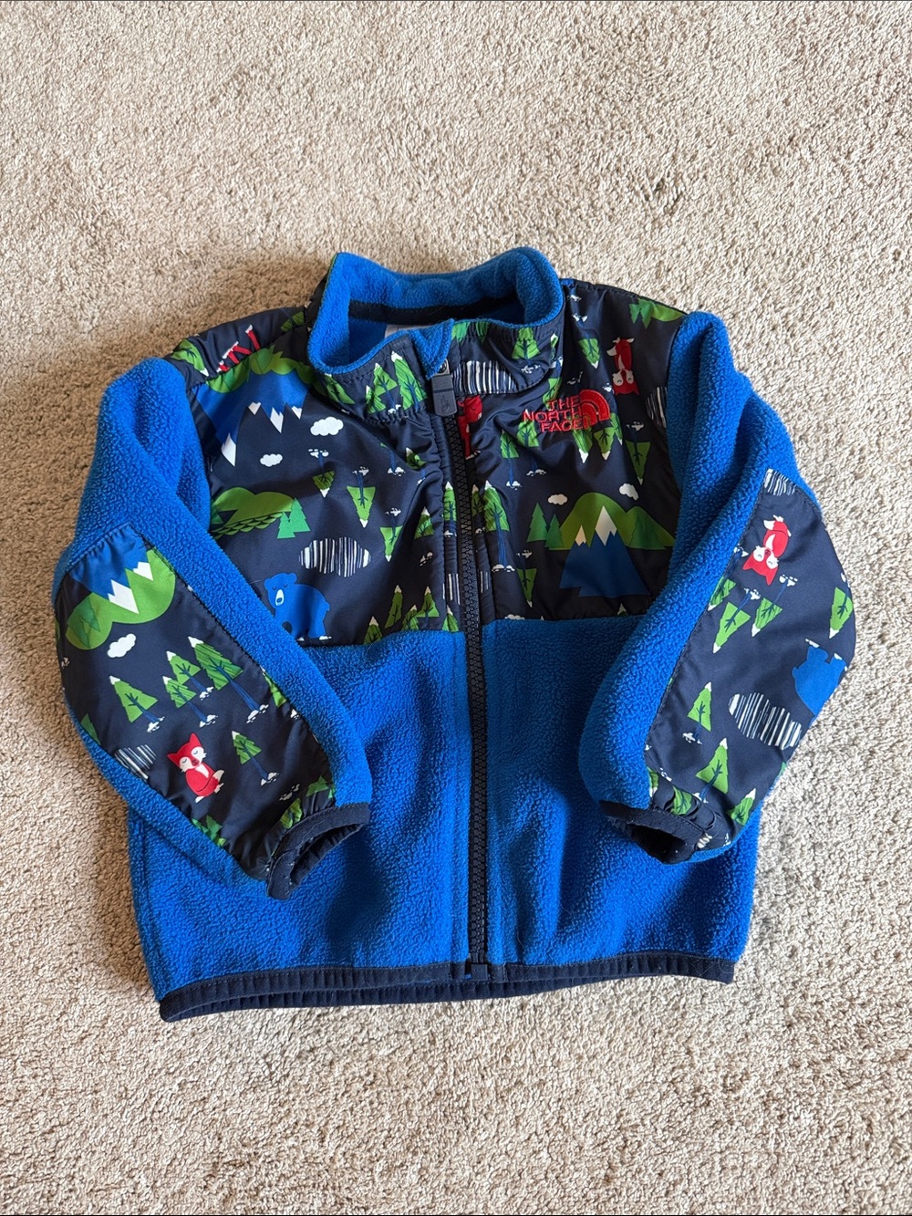 North Face Toddler Jacket